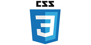 Nuestros proyectos web se diseñan con hojas de estilo CSS3